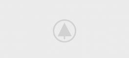 wood-gallery-placeholder-2 wood-gallery-placeholder-2